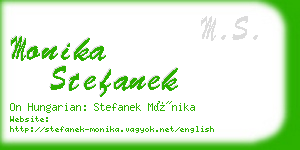 monika stefanek business card